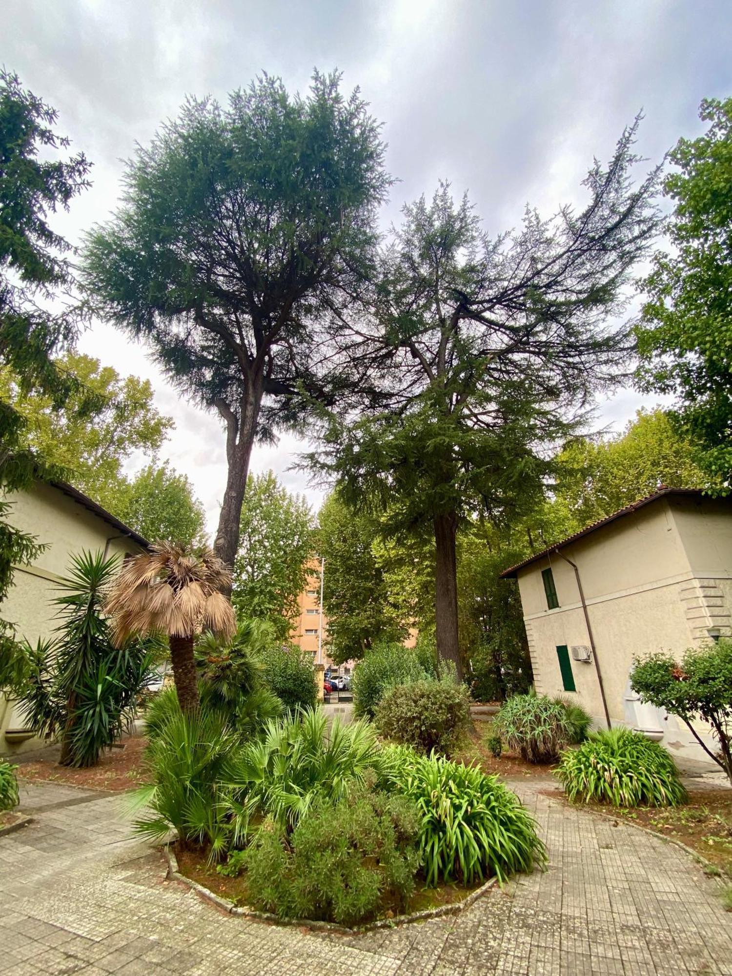 A Casa Con Greta Lägenhet Rom Exteriör bild